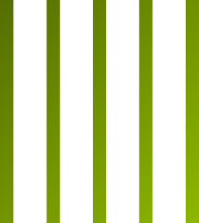 grass sintetico